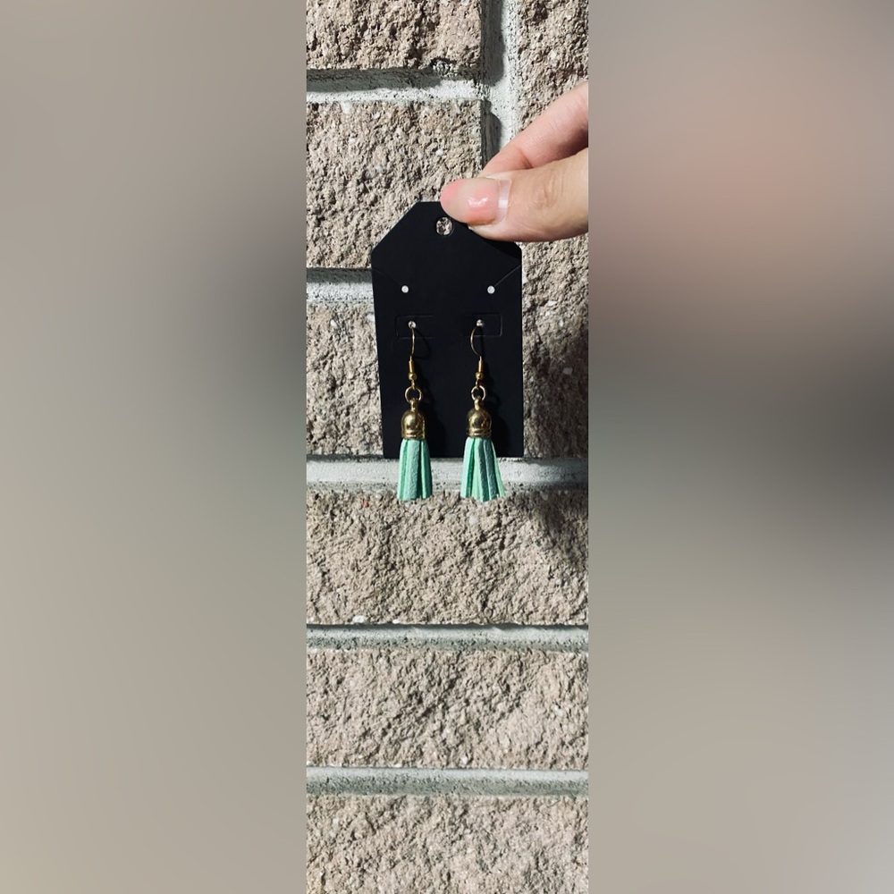 Novelty Tassel Earrings in Suede